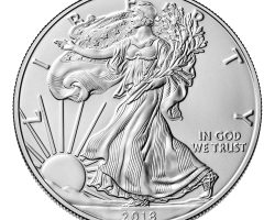 A silver eagle coin is shown on the white background.